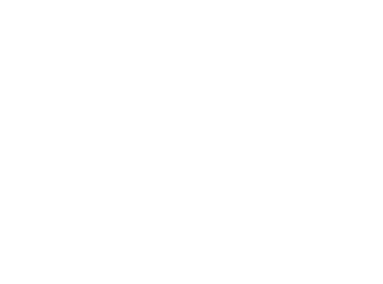 Fidelity